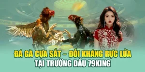 Đá Gà Cựa Sắt – Đối Kháng Rực Lửa Tại Trường Đấu 79king