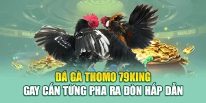 Đá Gà Thomo 79king Gay Cấn Từng Pha Ra Đòn Hấp Dẫn