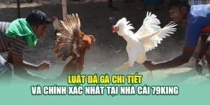 Luật Đá Gà Chi Tiết Và Chính Xác Nhất Tại Nhà Cái 79King