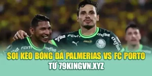 Soi Kèo Bóng Đá Palmerias Vs FC Porto Từ kimcollens.com